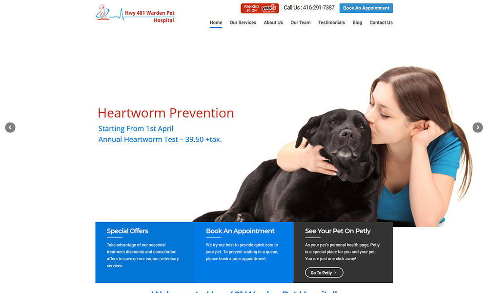 Website Design Company Calgary