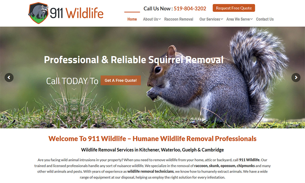 Website Design Calgary