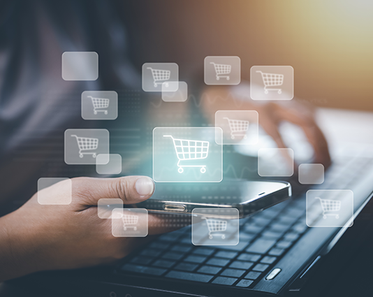 ECommerce Development2